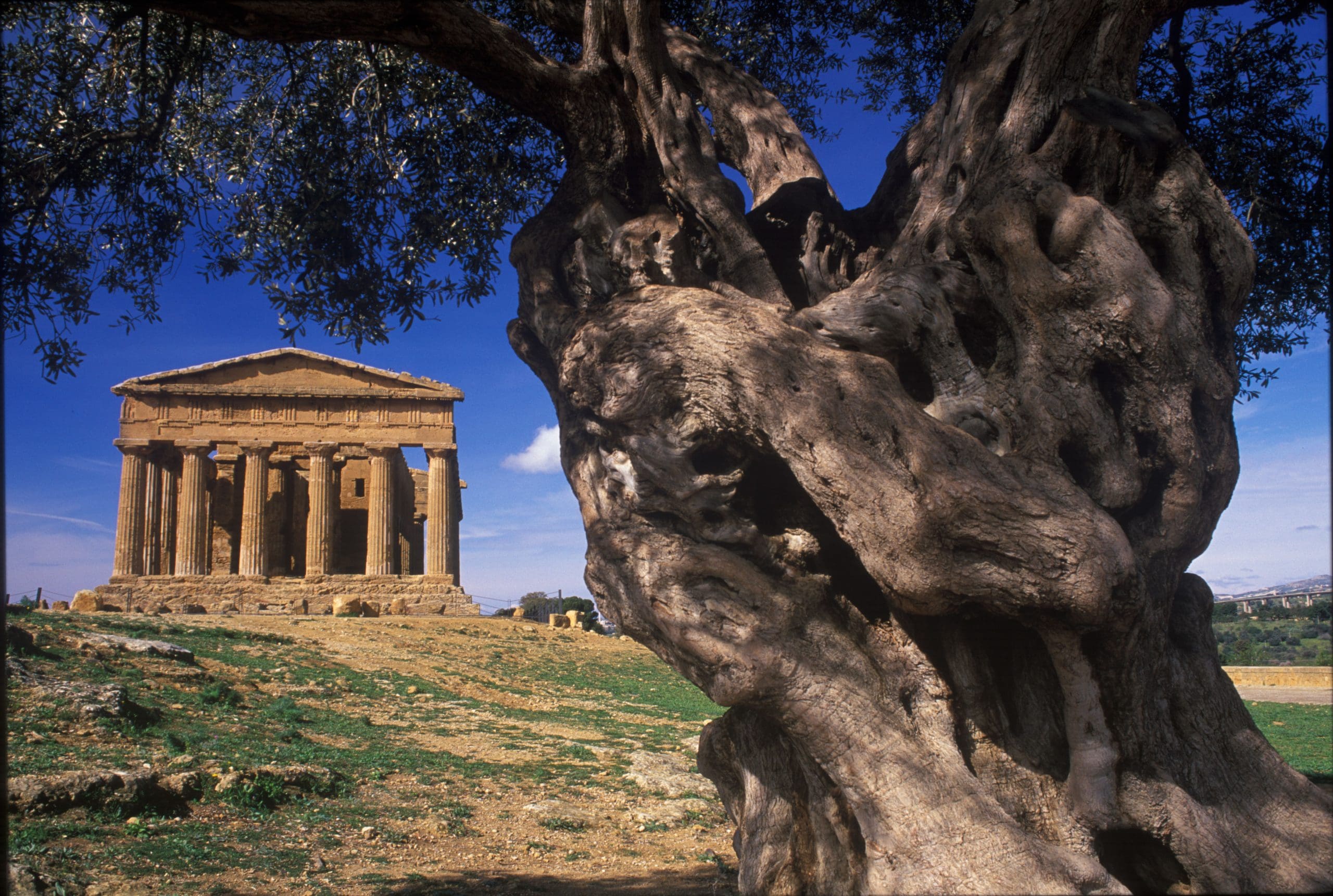 Paesaggi di mare – Agrigento, 6 Novembre 2016