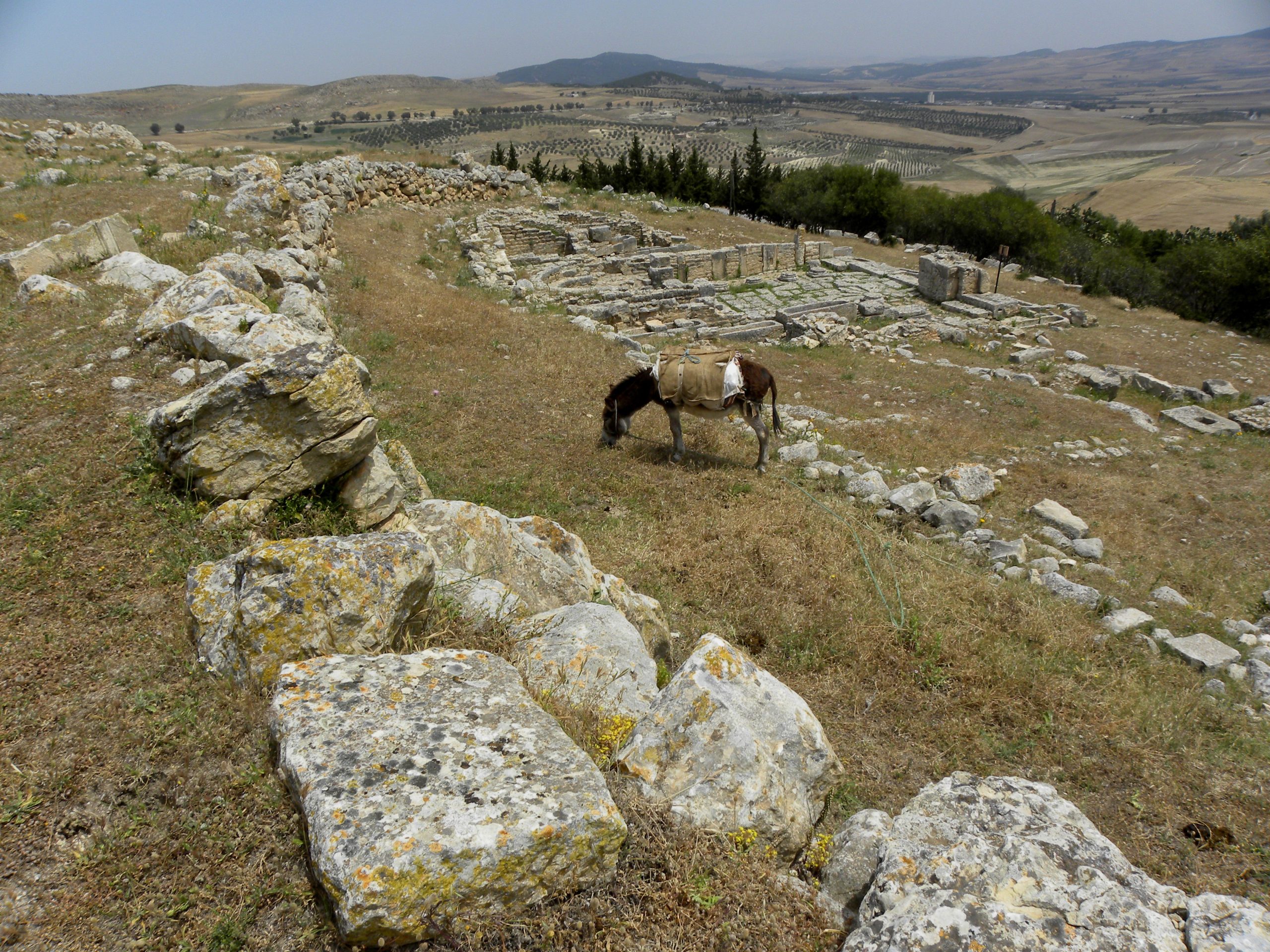 La Rotta dei Fenici – Tunisia