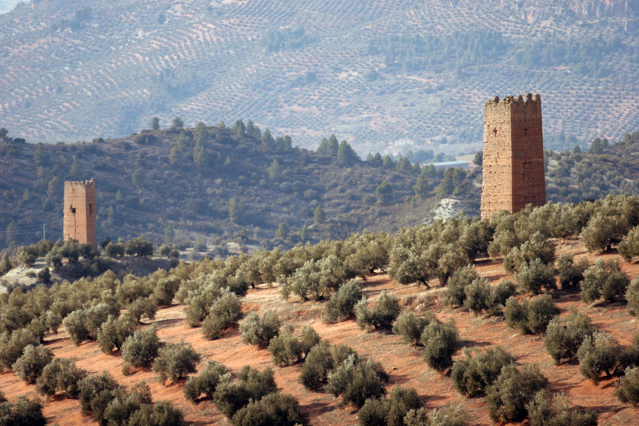 Assemblea Generale – X Dialogo Euro-Mediterraneo sulla Rotta dei Fenici, Jaén 9-10 ottobre