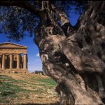 Agrigento 2