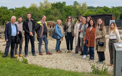 NEXT ROUTES Project – Second Newsletter